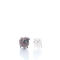 Fluffy fleece standing sheep