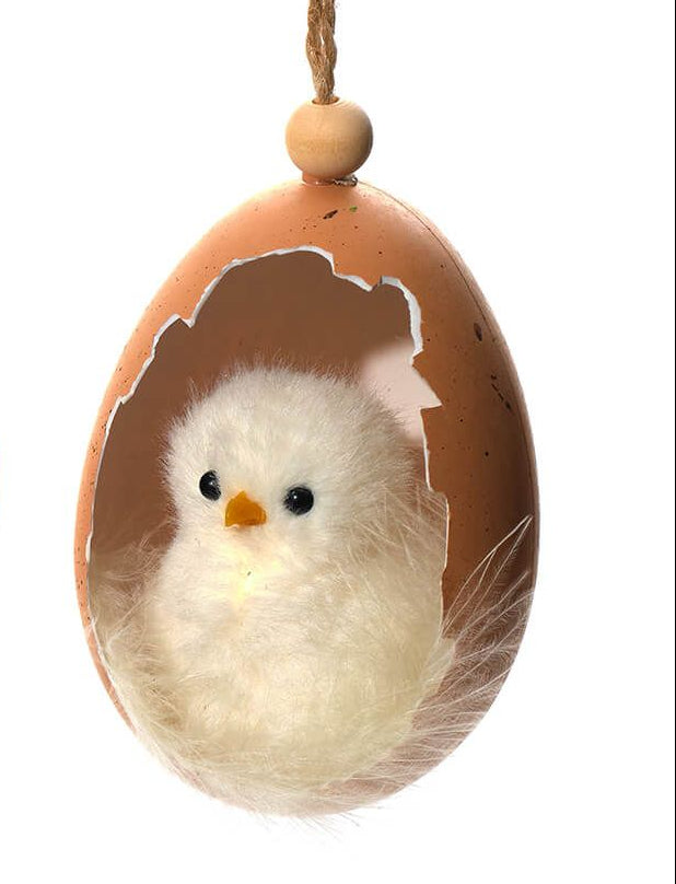 Fluffy chicks sat in egg shell