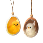 Fluffy chicks sat in egg shell