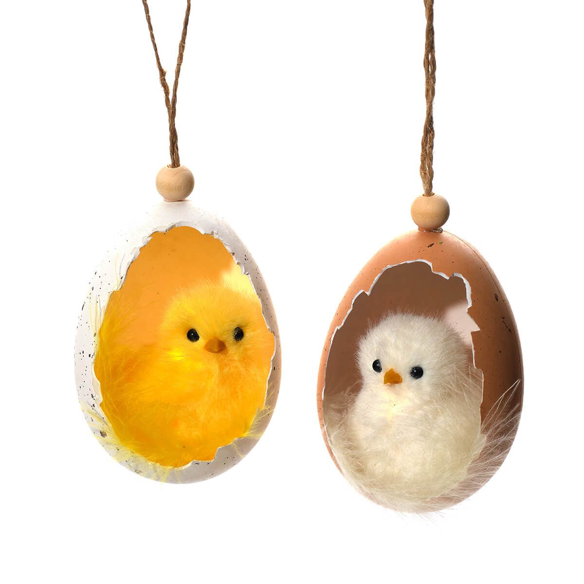 Fluffy chicks sat in egg shell