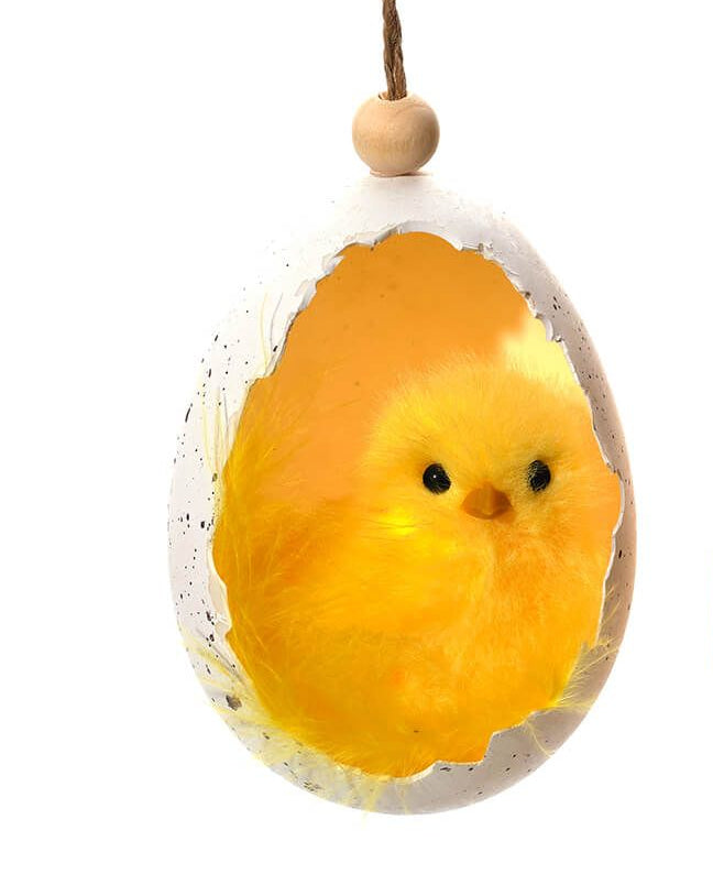 Fluffy chicks sat in egg shell