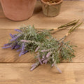 Lavender bunch