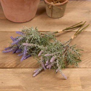 Lavender bunch