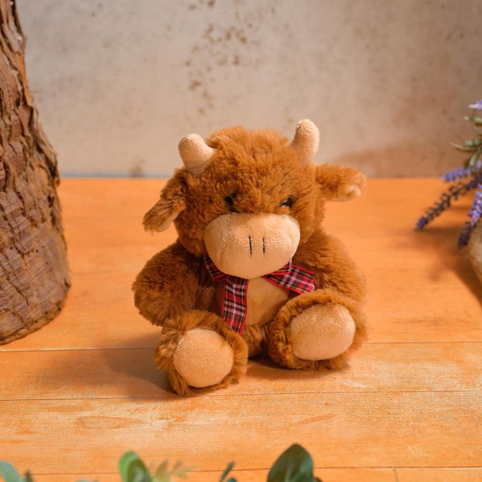Small mooing highland cow with tartan bow