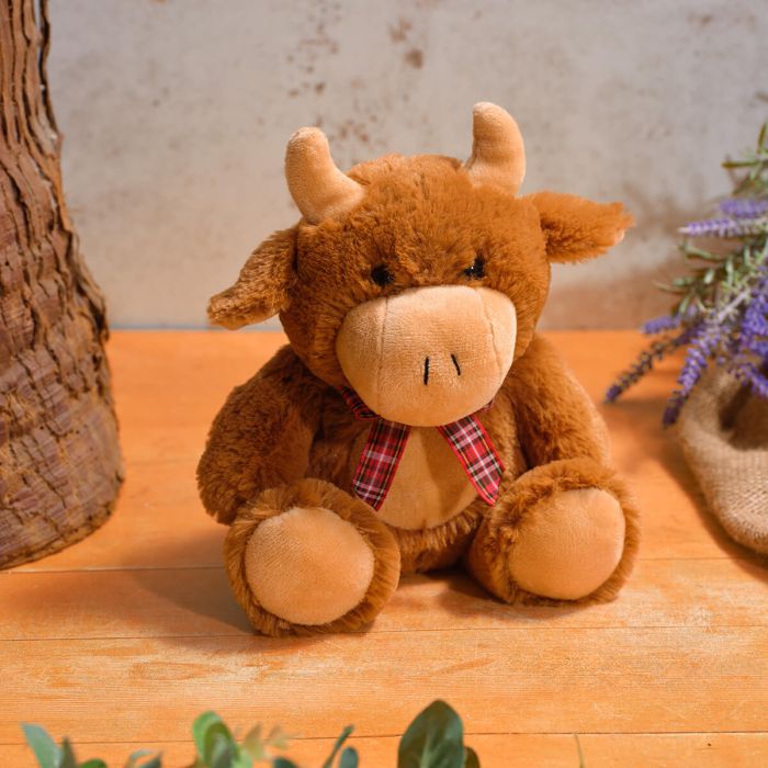 Large mooing highland cow