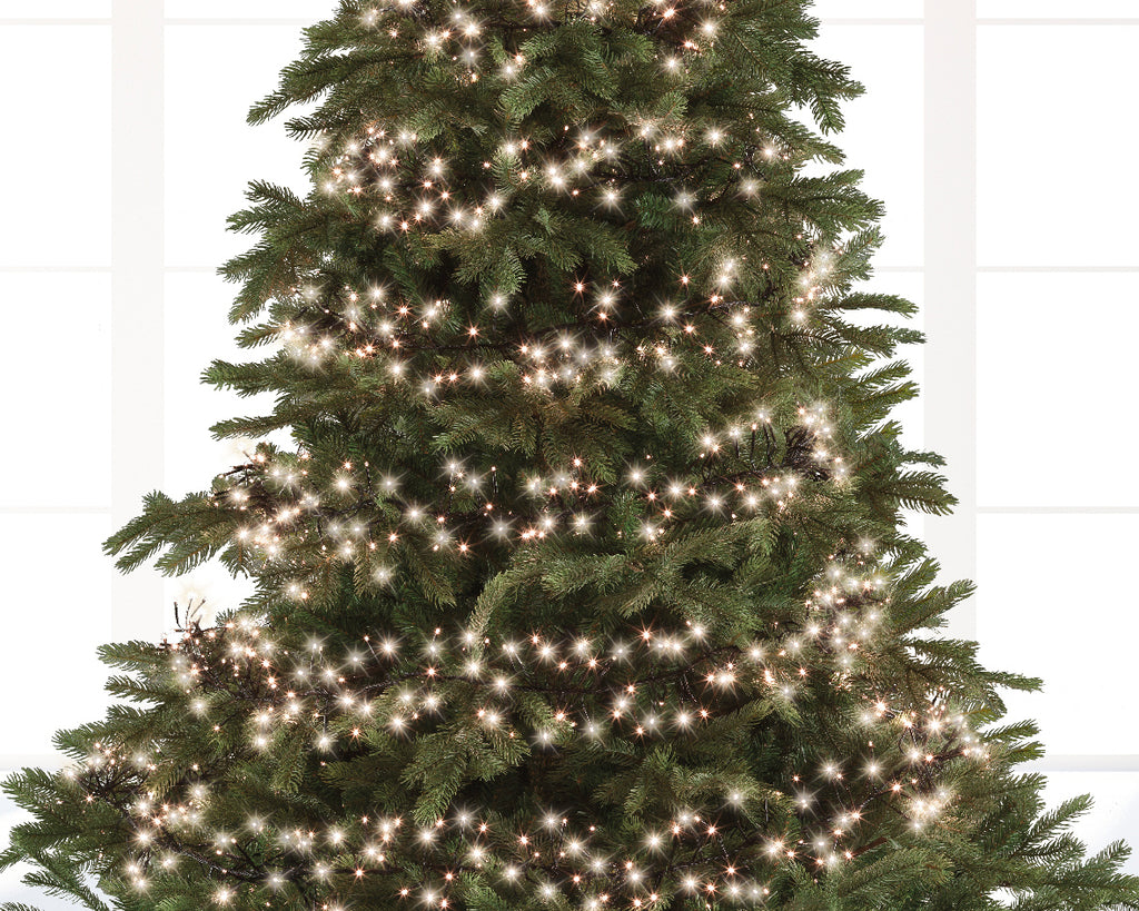 3000 LED Cluster Lights Warm White on Green Cable