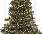 3000 LED Cluster Lights Warm White on Green Cable