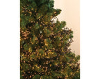 3000 LED Cluster Lights Warm White on Green Cable