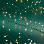 480 Micro wire LED classic warm compact lights on green wire