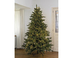 1440 Micro Wire LED compact warm white lights on green wire