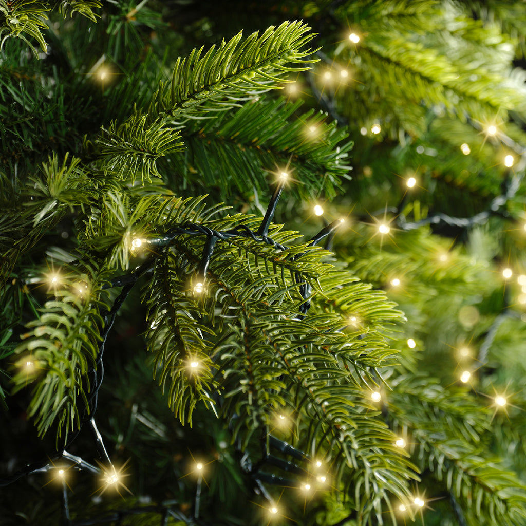 1000 LED compact soft gold lights on green cable