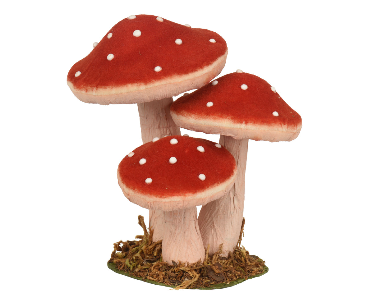 Medium red toadstool family