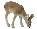 Standing baby deer with soft touch fur