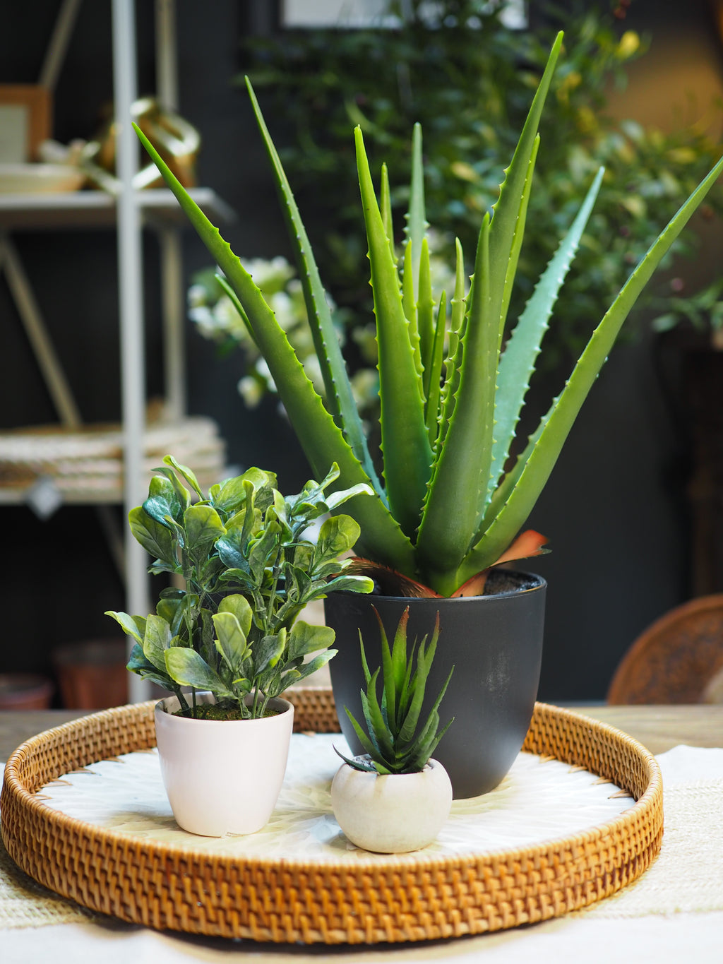 Potted faux aloe vera