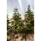 Micro LED light-up winter tree (180cmH)