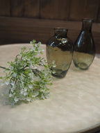 White Hogweed Spray