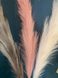 Pink faux pampas stem