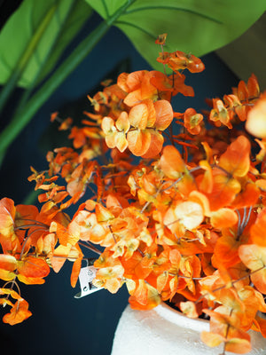Fiery eucalyptus spray