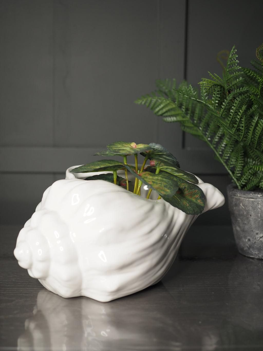 White Sea shell shaped planter