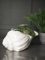 White Sea shell shaped planter