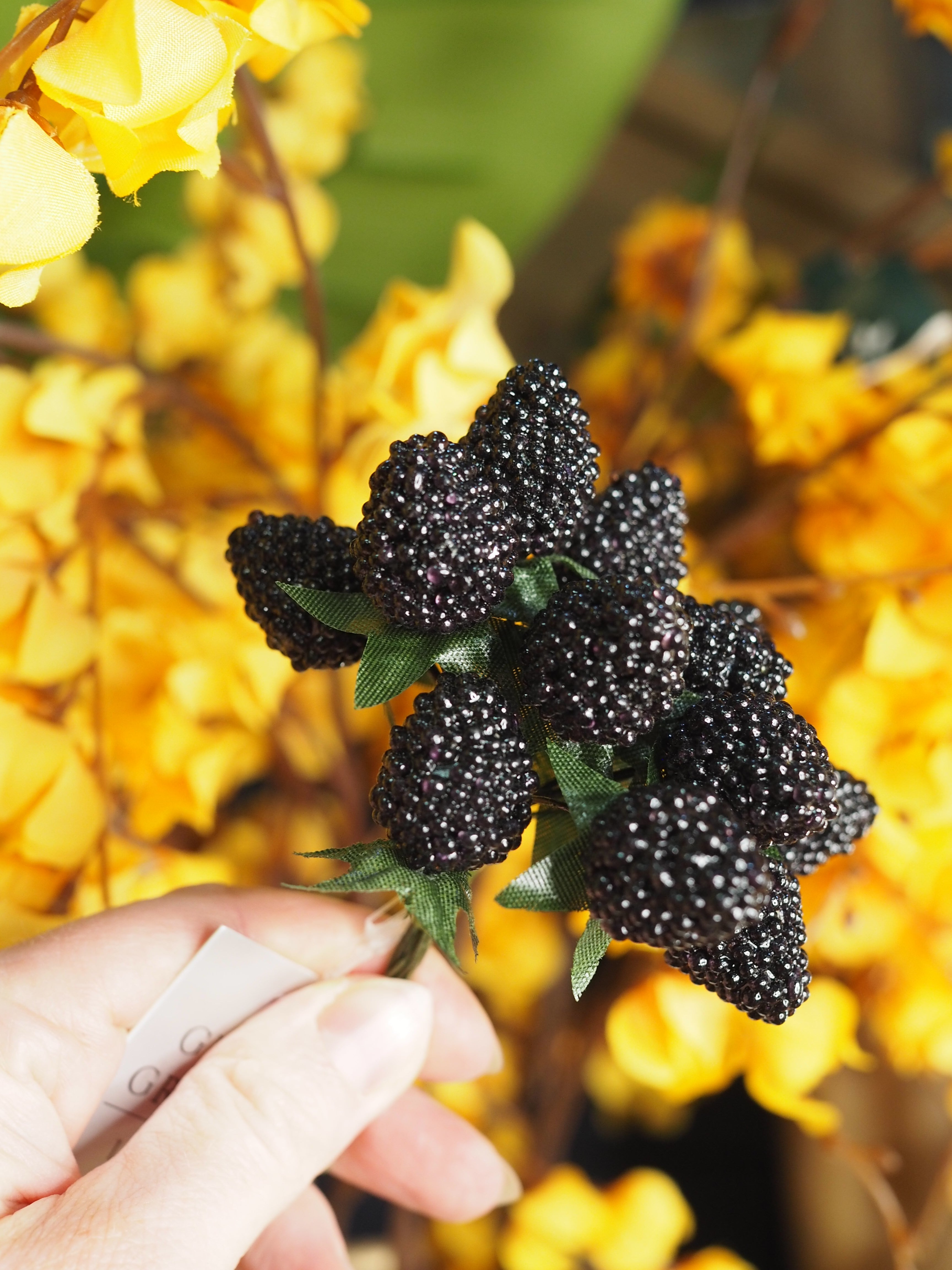 Blackberry bunch