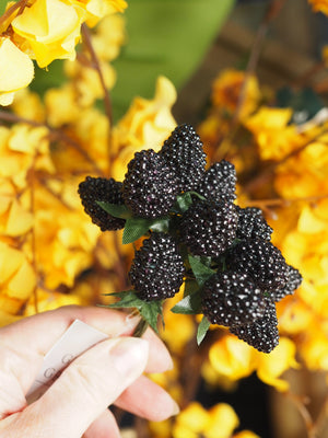 Blackberry bunch