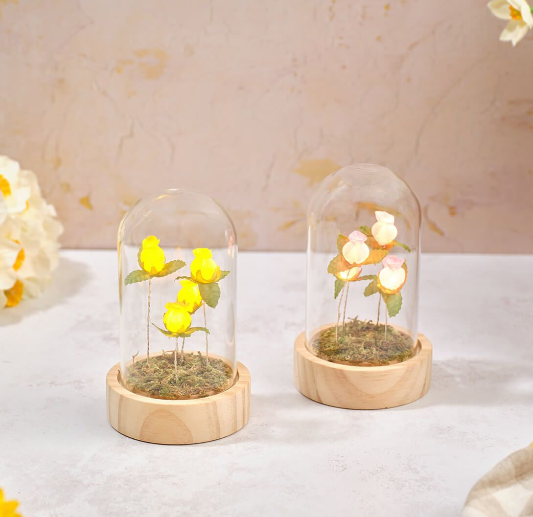 Light up glass dome with roses