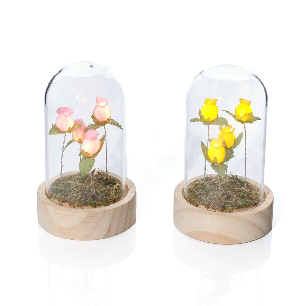 Light up glass dome with roses