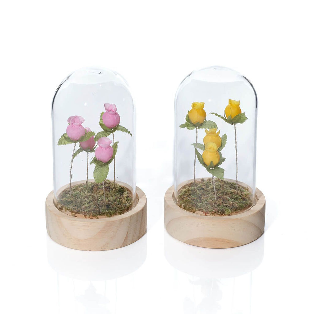 Light up glass dome with roses