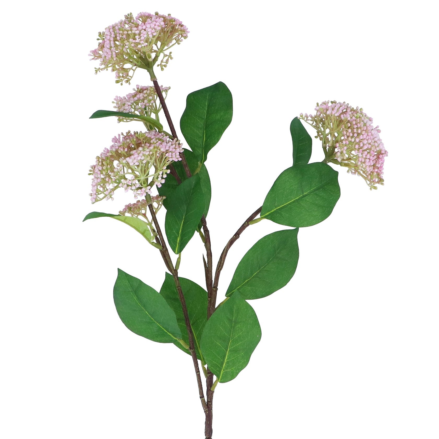 Pink Elderflower Spray