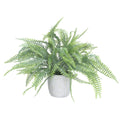 Faux Spider Fern in Pot