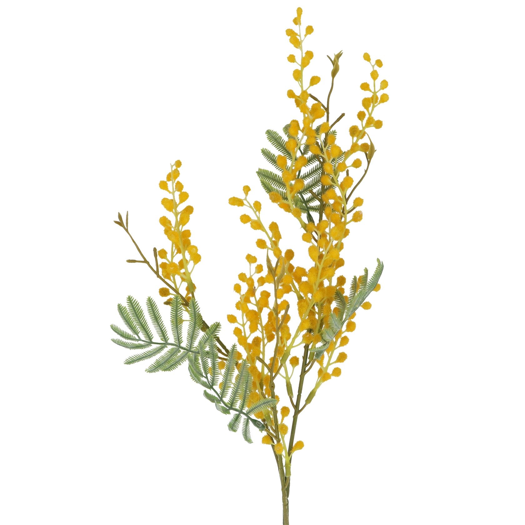 Yellow Mimosa Spray