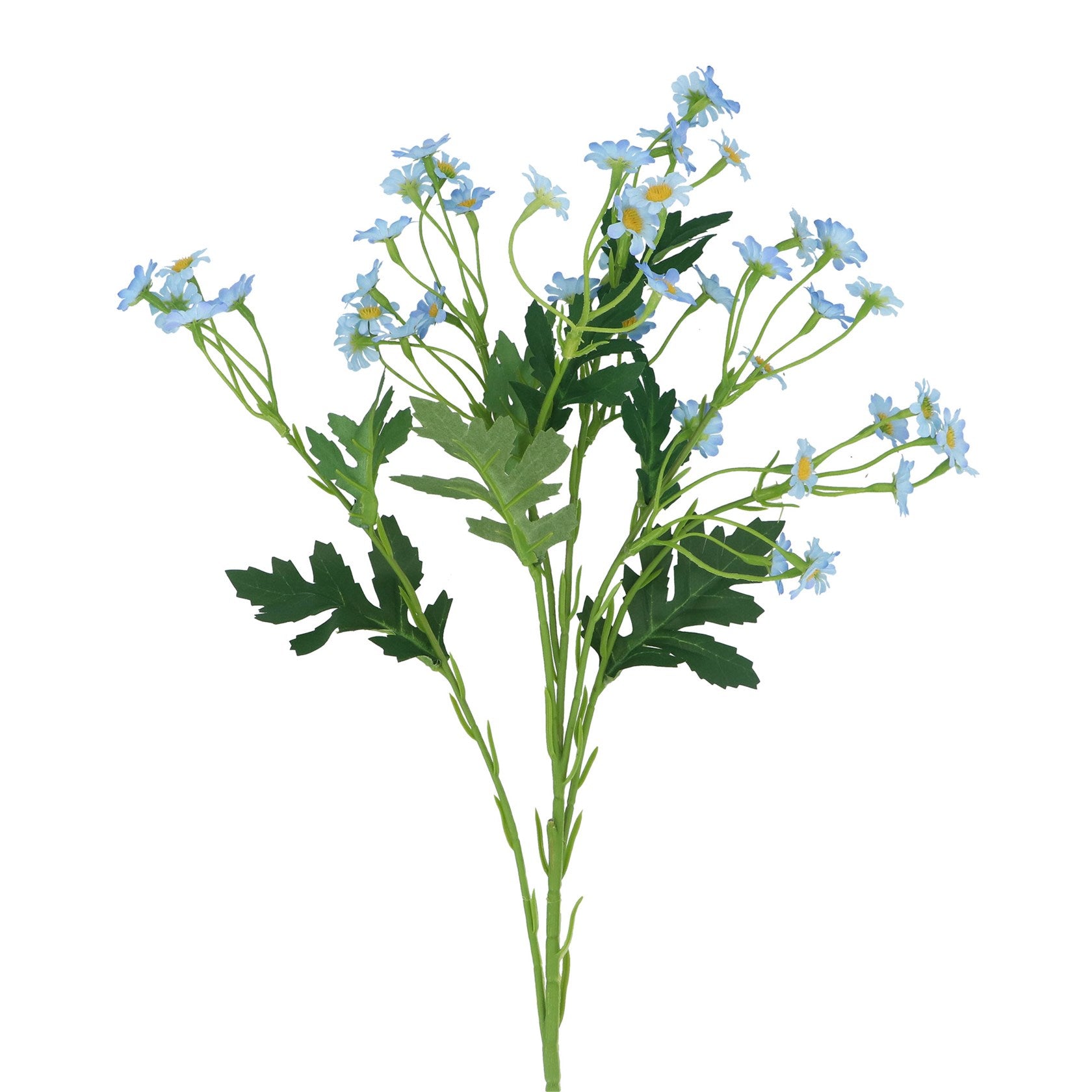 Blue mini daisy bunch