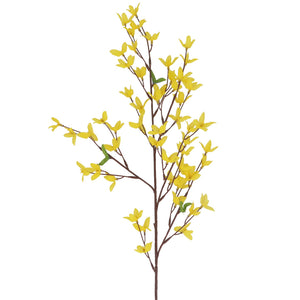 Forsythia Spray