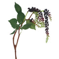 Purple weeping mini grape branch