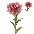 Dusky pink chrysanthemum stem