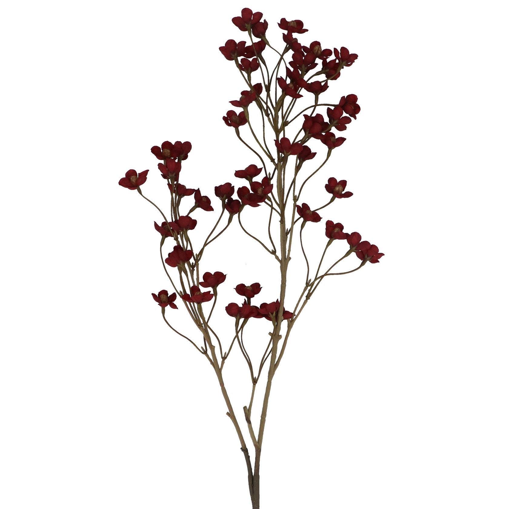 Antique Burgundy Plum Blossom Branch