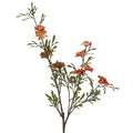 Antique coral pink wild Aster spray