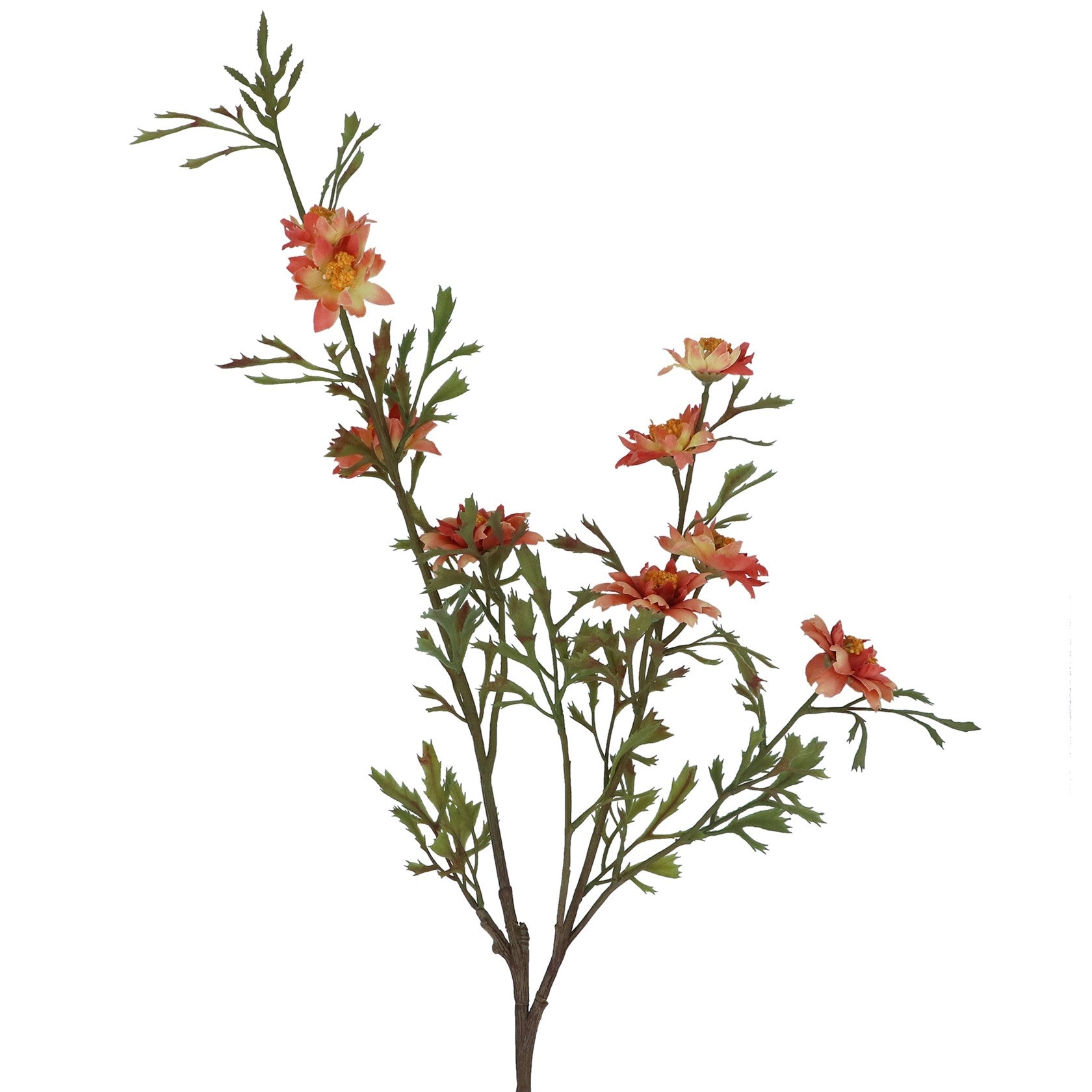 Antique coral pink wild Aster spray