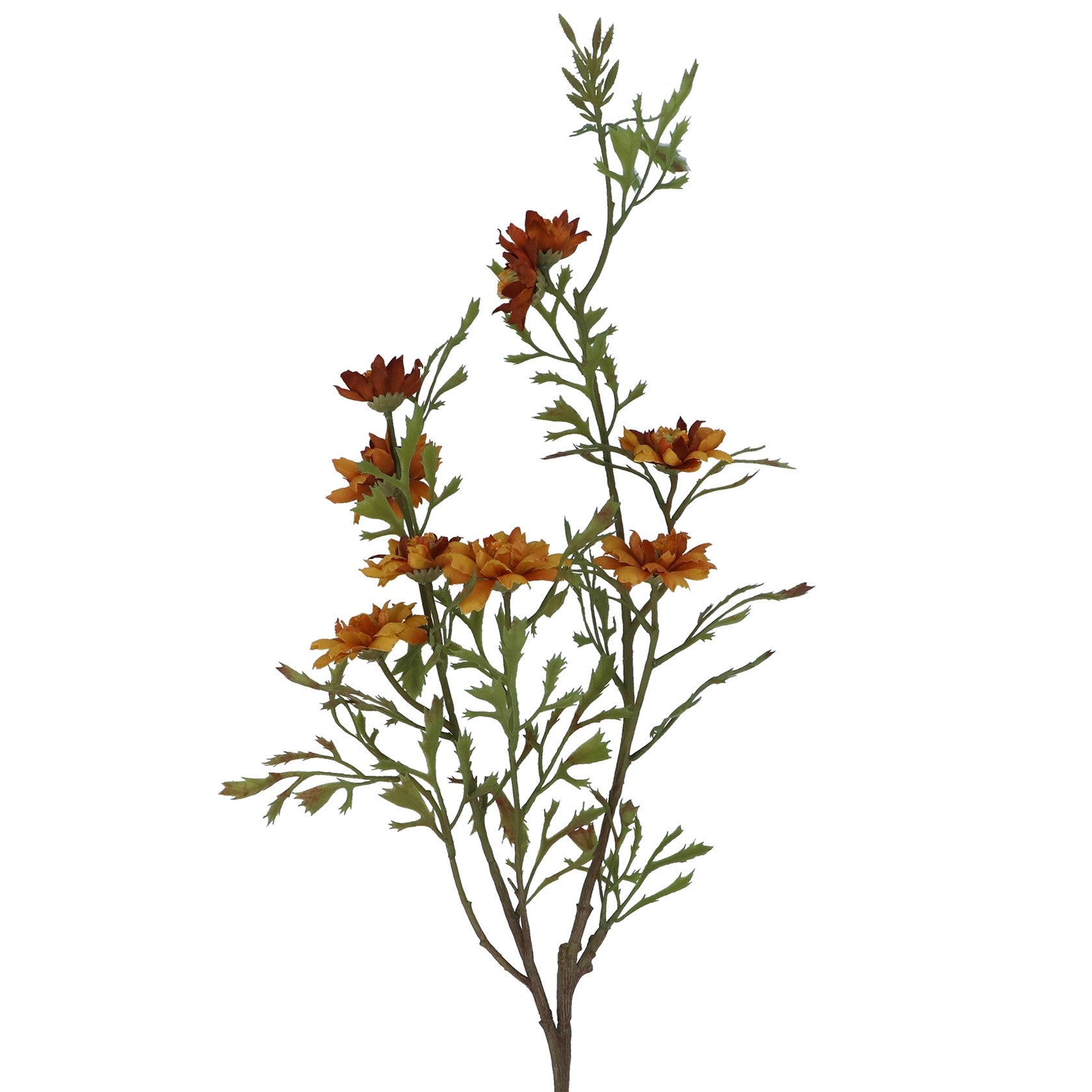 Antique yellow/brown wild Aster spray | Faux florals | Osborne & CO.