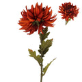 Dark orange chrysanthemum stem