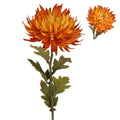 Golden yellow chrysanthemum stem