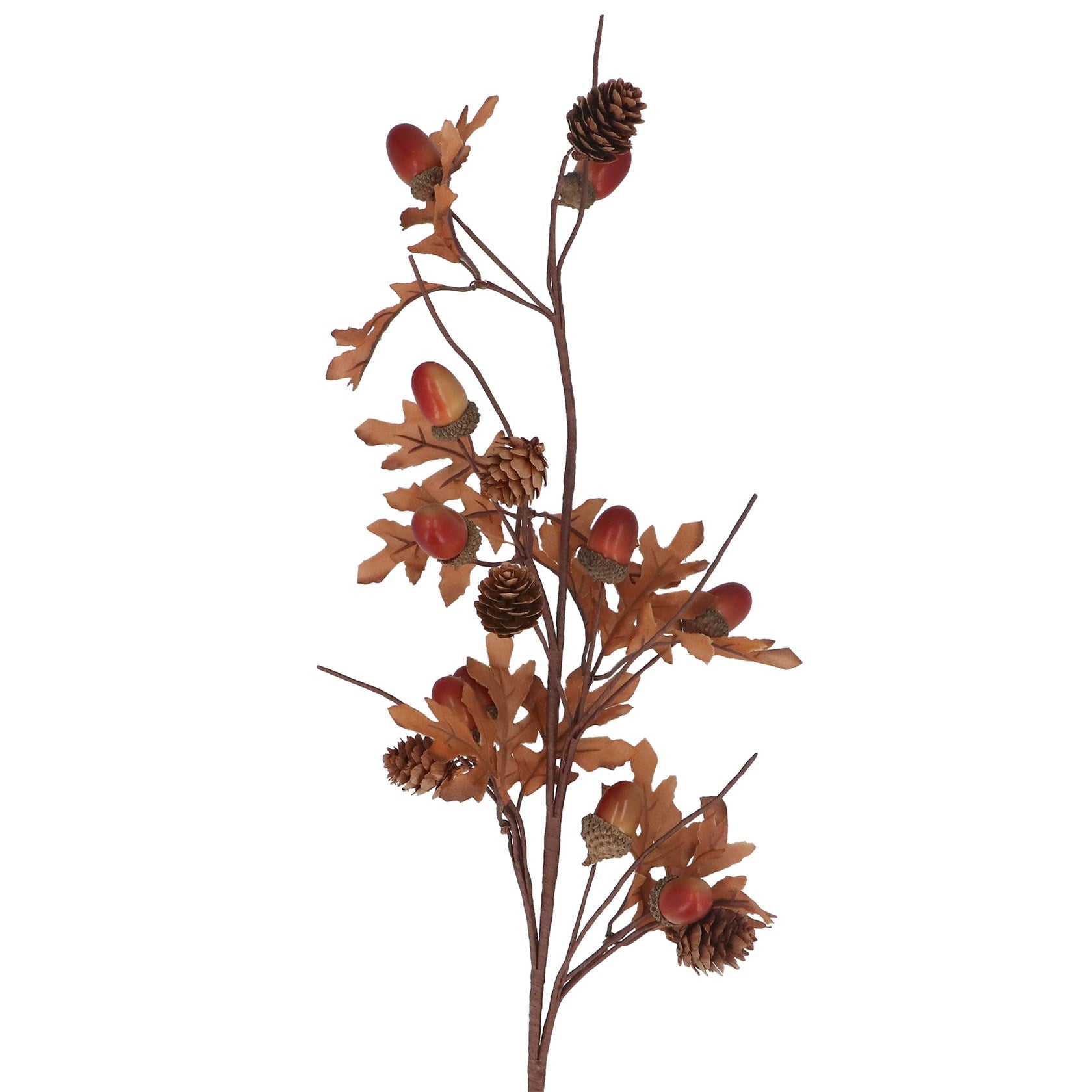 Acorn & cone fine spray