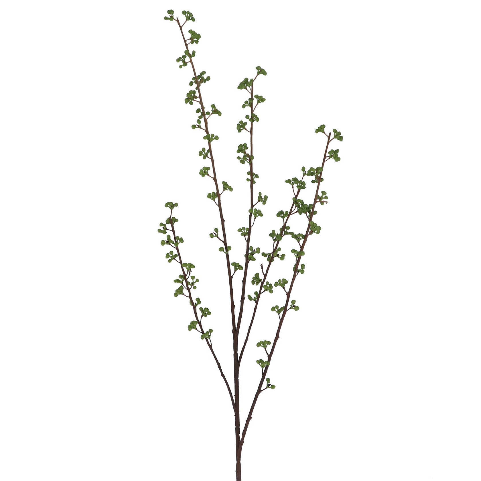 Green mini berry spray