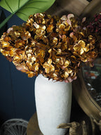 Gold hydrangea stem