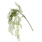 Green Trailing Planktothrix Pick