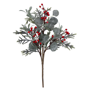 Frosted eucalyptus and fir stem with red berries