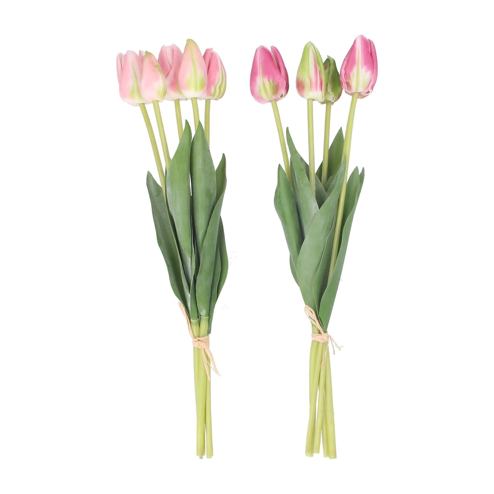 Pink/green tulip bunch