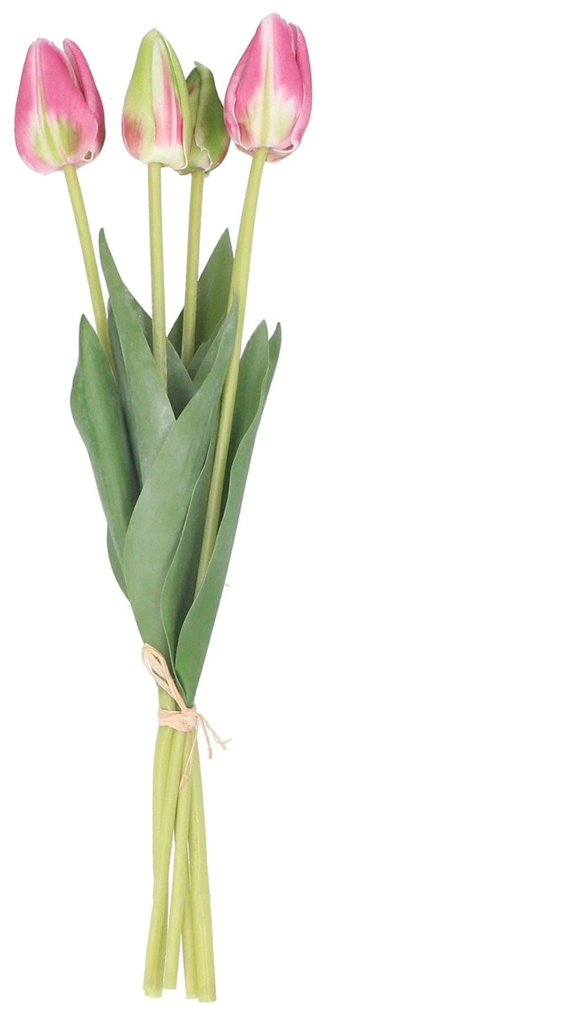 Pink/green tulip bunch