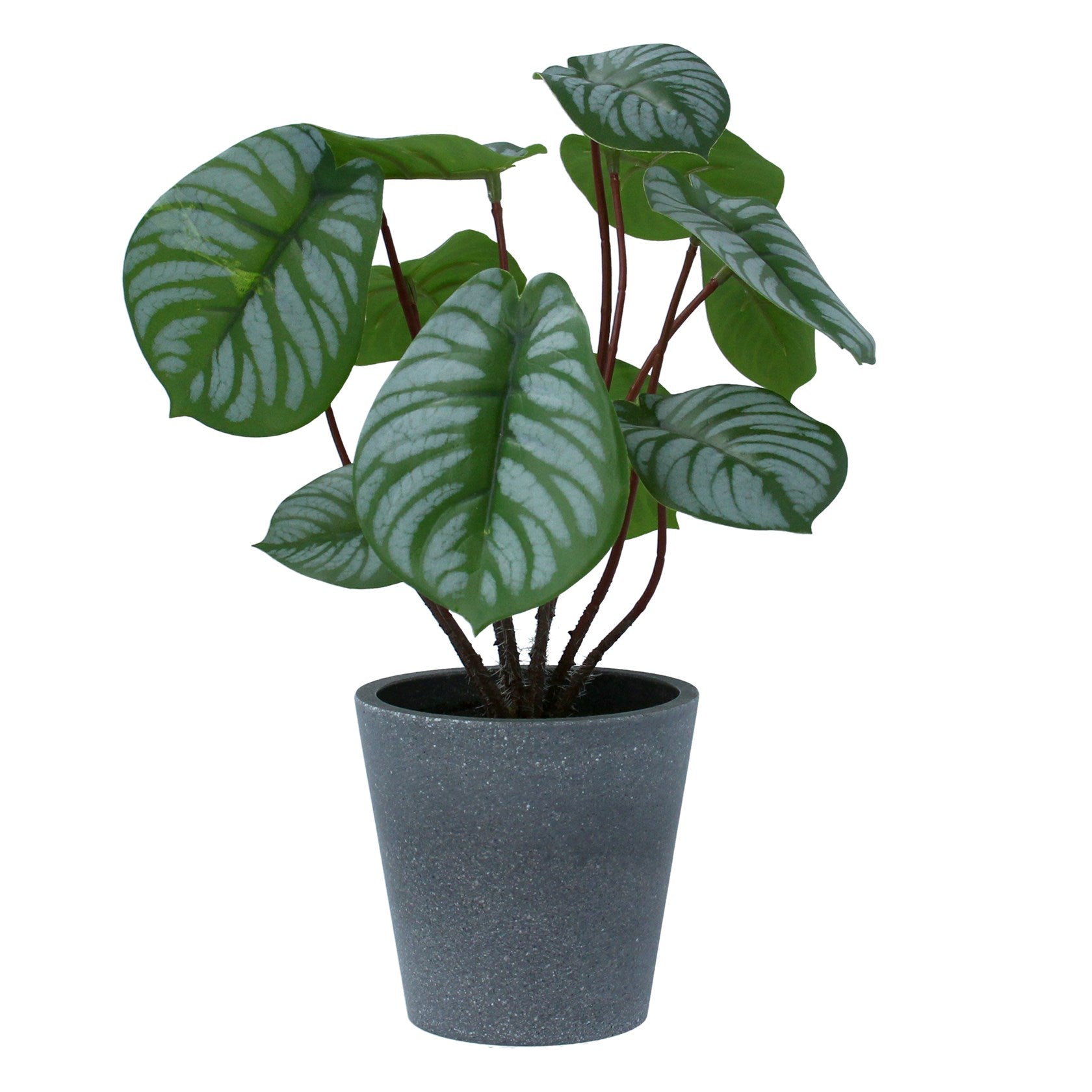 Faux Arrow Root in Pot